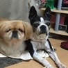 母ちゃんに注目！