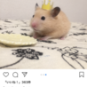 佐脇かな