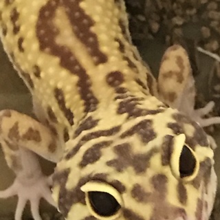 沢山のご応募ありがとうございました！