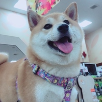 まめ