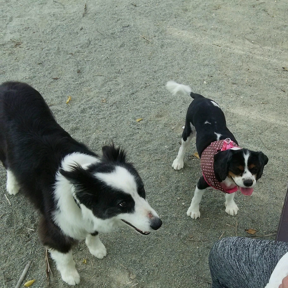 ヨッタのカバー写真