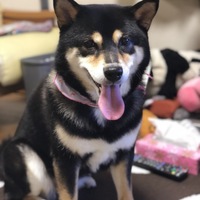 マロン
