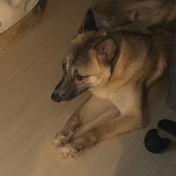 少しずつ慣れてきました。