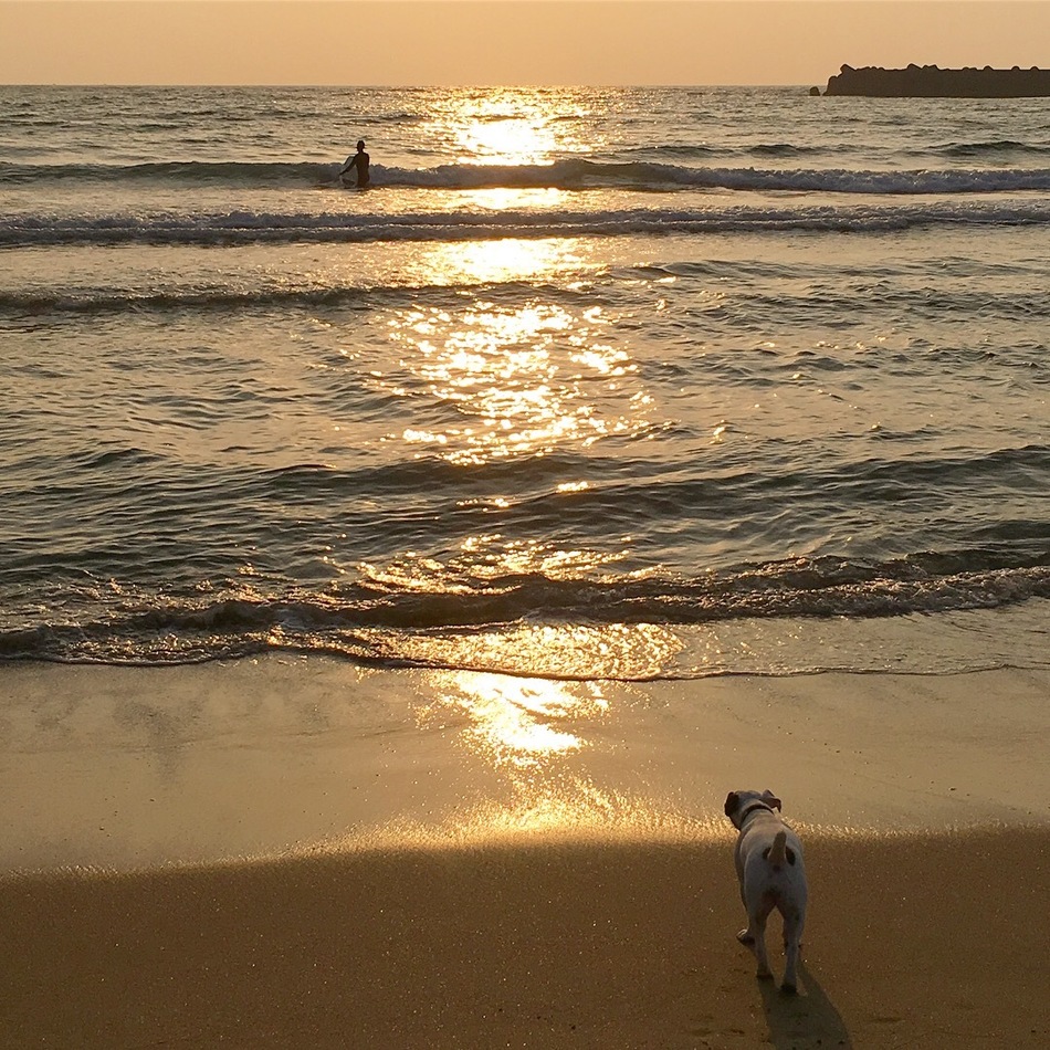 コアのカバー写真