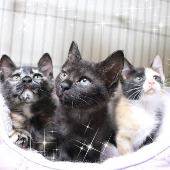 minamina34のカバー写真