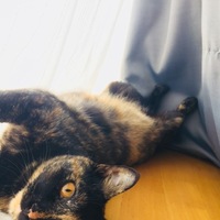 もか