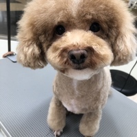 リヤン