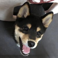 まる子