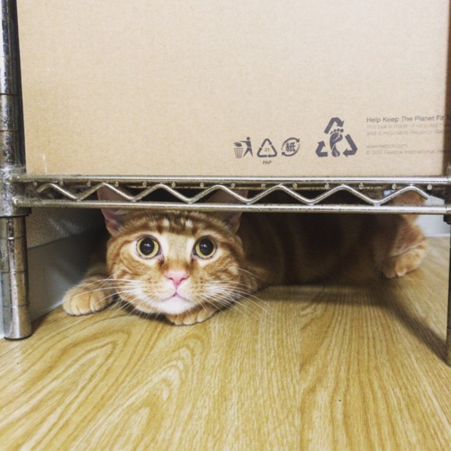 nksk121のカバー写真