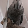 の写真