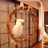 の写真