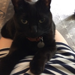 行方不明になりました！