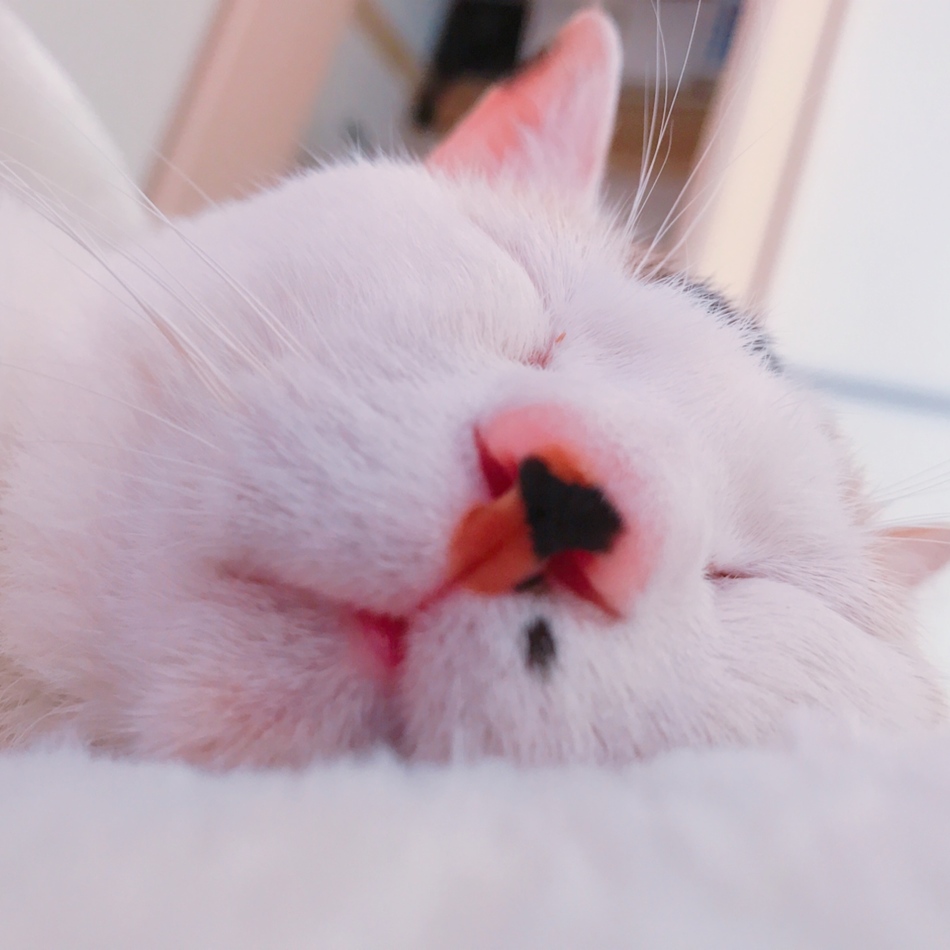 みっちゃんのカバー写真