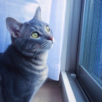 けむり