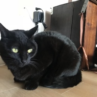 うに
