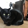 うに