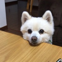 そら