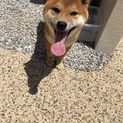 なつです(o^^o)