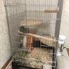 新居です