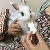 5月23日生まれの子ウサギ 2 サムネイル2