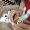5月23日生まれの子ウサギ 3 サムネイル5