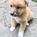 里親さま決まりました☆