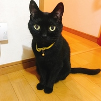 スピカ
