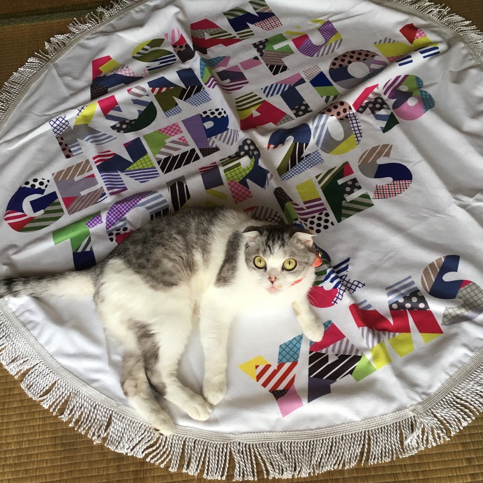 まめのカバー写真