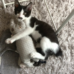 第一回目ワクチン接種