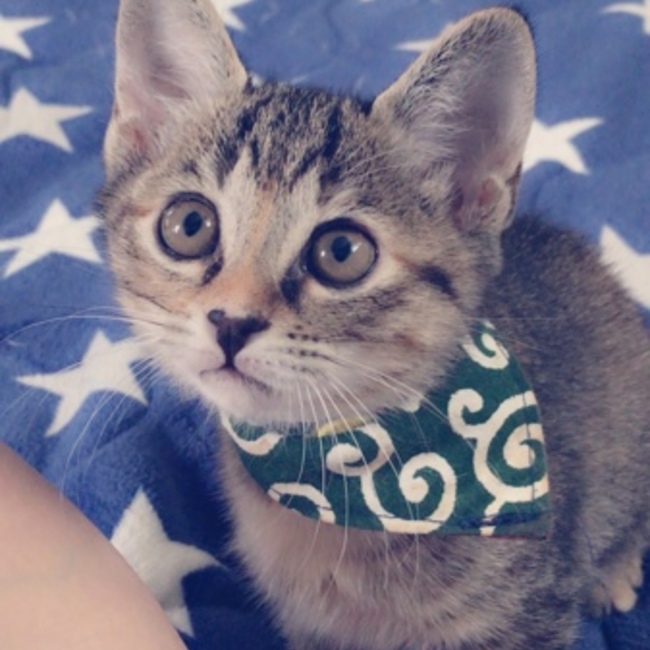 izaberuのカバー写真