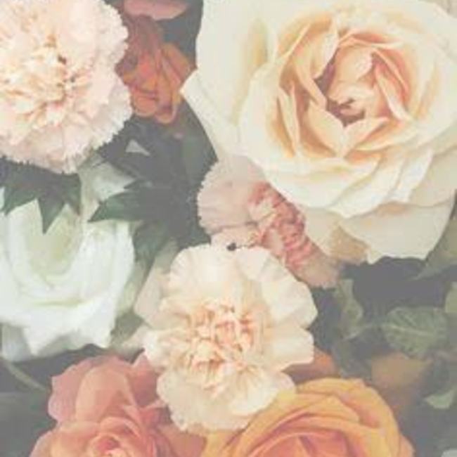 mityfityのカバー写真