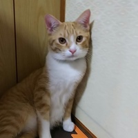 真大   まひろ