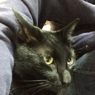 真っ黒クロスケです　(^^)/