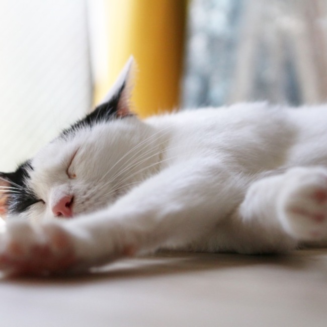 ちっちっちママのカバー写真