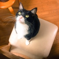くーちゃん