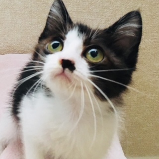 推定6月1日生まれ！元気っ子♬　司（つかさ）ちゃん