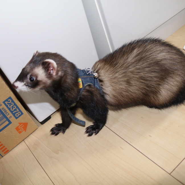 Mayu24のカバー写真