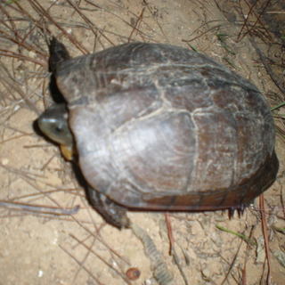 募集終了しました