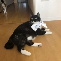 レオン