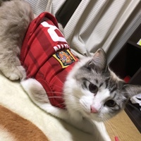 ラヴ