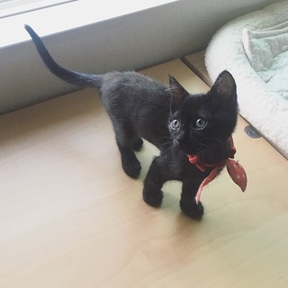 ご縁をありがとうございました♡