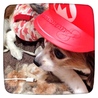 ♢ Tonerico さん