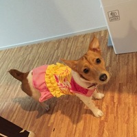 Hana