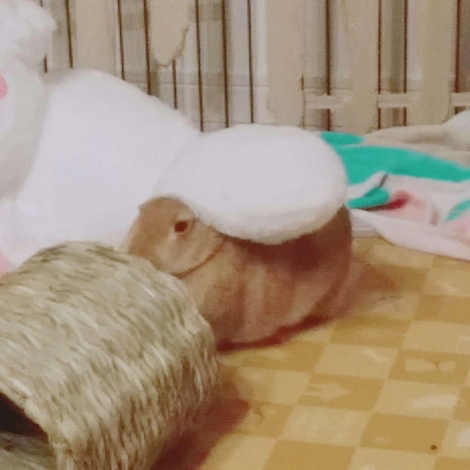 くぼたちゃちゃのカバー写真