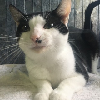 とっても甘えん坊のちび君です❤