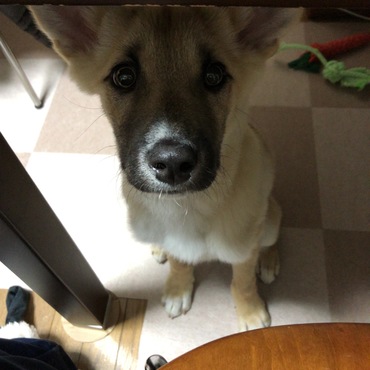 の写真