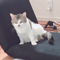 またきち