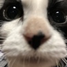 ハニお