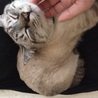 ソラ