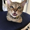  さん